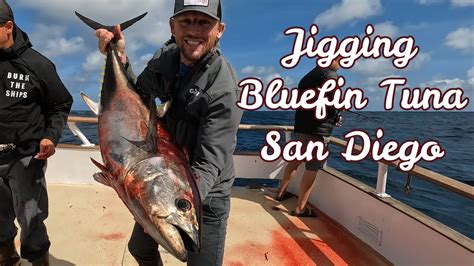 San Diego Offshore Bluefin Tuna Crazy Bite Slow Pitch Jigging Best Tuna Jig Youtube