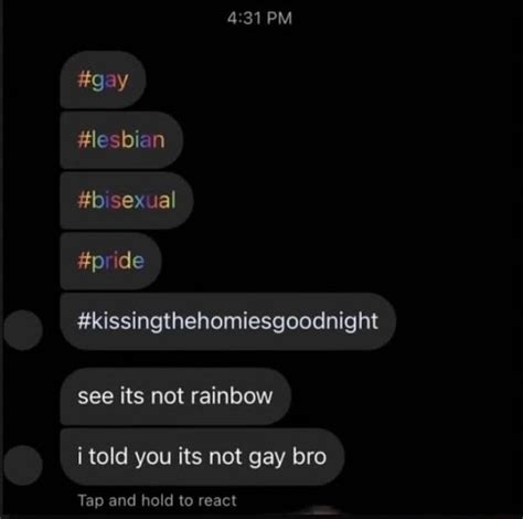 PM Gay Lesbian Bisexual Pride Kissingthehomiesgoodnight See Its Not Rainbow I Told You Its