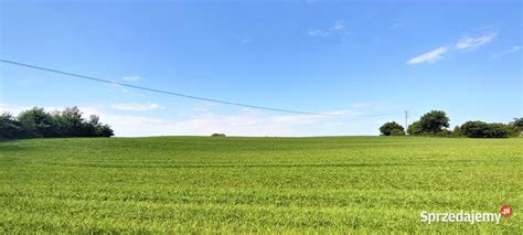 Działka budowlana na Kaszubach Żukowo Pod Elżbietowo Sprzedajemy pl