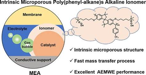 Application Of Ionized Intrinsic Microporous Poly Phenyl Alkane S As