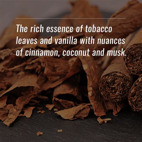 Tobacco Vanille – Orleans Home Fragrances