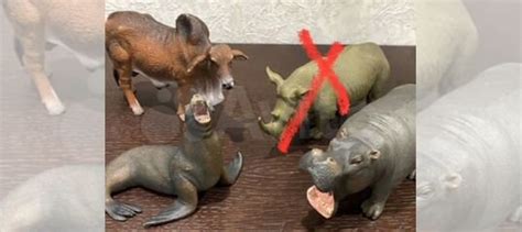 Фигурки животных collecta купить в Москве | Хобби и отдых | Авито