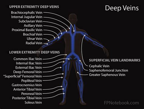 Superficial Thrombophlebitis