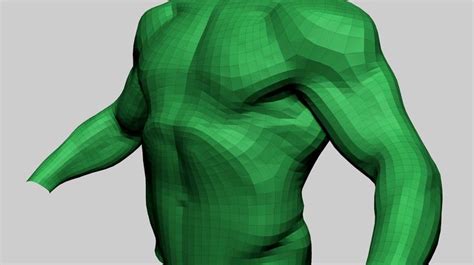 Artstation Male Torso B Resources Male Torso Torso 3d Model