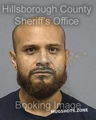 Barrientos Jonathan Hillsborough County Mugshots Zone