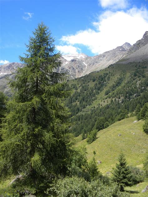 Foto Dal Parco Nazionale Dello Stelvio Tutto Il Mondo Di Lu