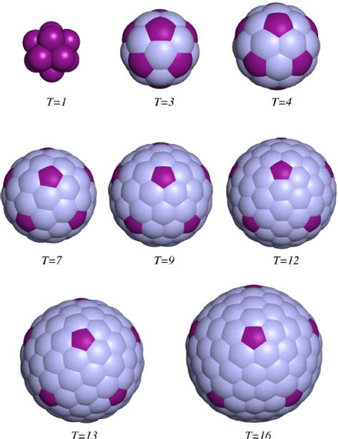 The Structure Of Icosahedral Capsids Found As Global Energy Minima In