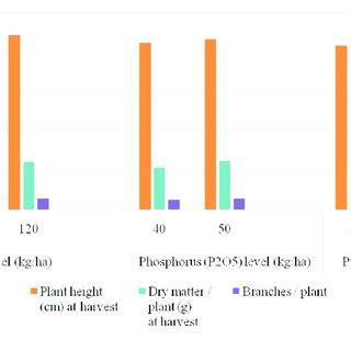 Effect Of Fertility Levels On Seed Yield Quality And Economics Of