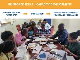 Michela Miletto Sex Disaggregated Water Data PPTX