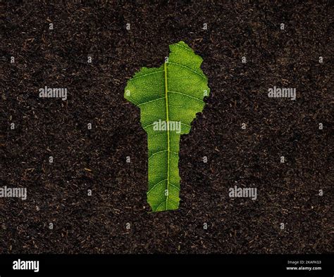 Benin Map Made Of Green Leaves Concept Ecology Map Green Leaf On Soil