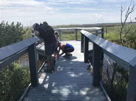 observation decks - raleighparks.org