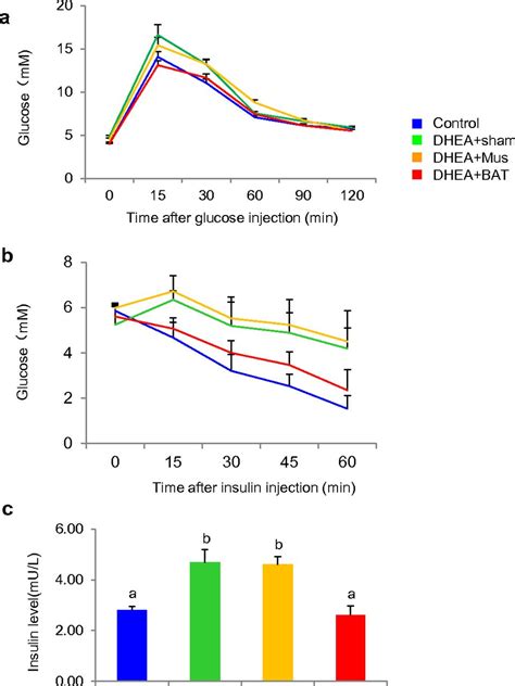 Brown Adipose Tissue Transplantation Ameliorates Polycystic Ovary