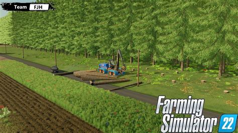 Enorme Vente Aux Enchere Abattre Une For T Partie Chill Farming