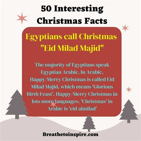 50 Christmas Facts About History, Fun Holiday Traditions All Around The ...