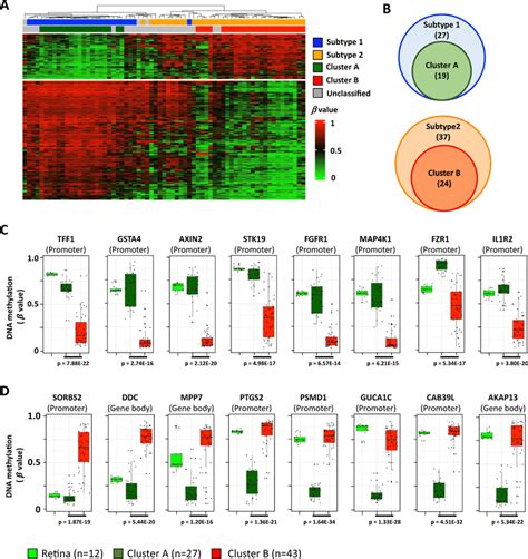 The Dna Methylation Signature For Rb Treatment Outcome Prediction A The