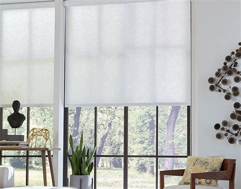 Light Filtering Roller Shade | Blinds.com