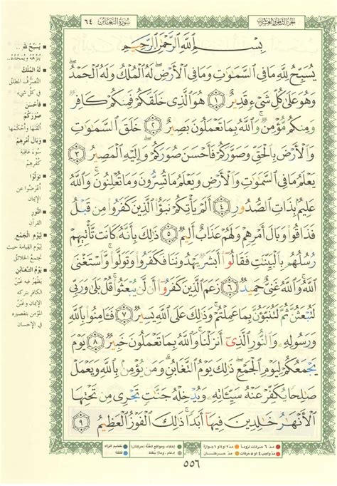 Surah Taghabun