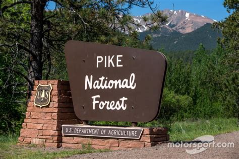 Summer Internship with Pike National Forest | CC Career Chronicles