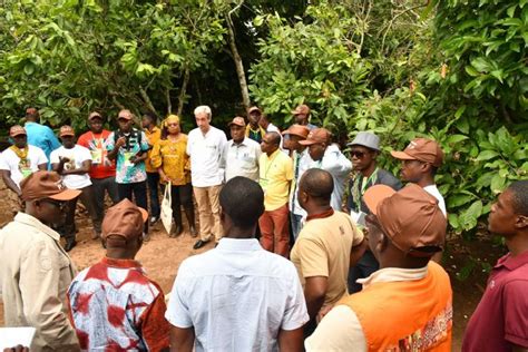 Le Conseil Du Caf Cacao Et Ses Partenaires De La Plateforme De