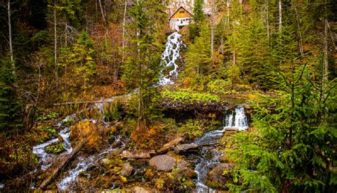 Cascada Izvoare Din Mun Ii Bucegi Locul Cu Apa Cea Mai Pur Din Lume