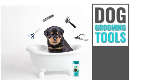 Top And Necessary At-Home Dog Grooming Tools - Petmoo