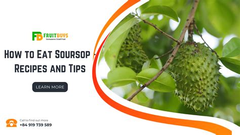 How To Eat Soursop - Recipes And Tips - FruitBuys Vietnam