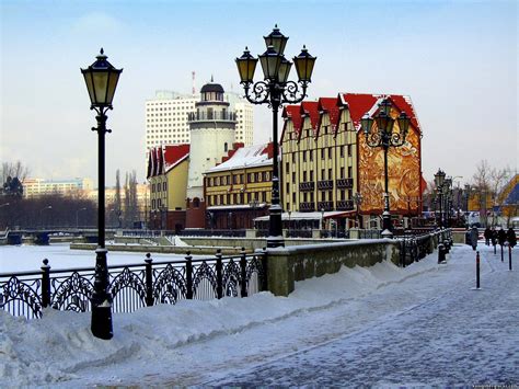 Калининград зима (51 фото)