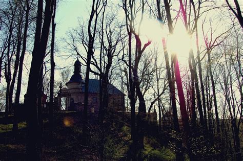 Jura Krakowsko Częstochowska i Ojcowski park narodowy czyli krótka