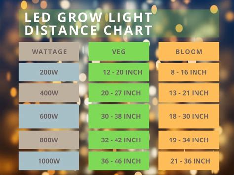 How Many Lights Do I Need For A Foot Tree At Adam Duncan Blog