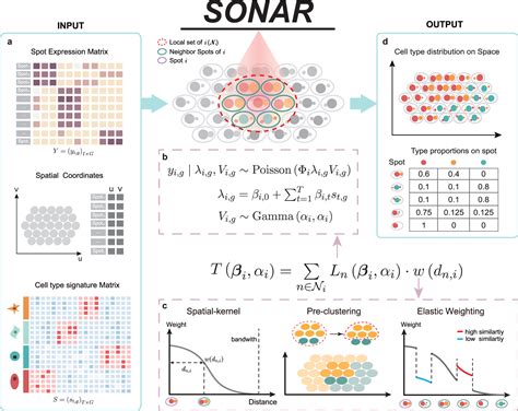 Advancing Spatial Transcriptomics Cell Type Deconvolution With Sonar