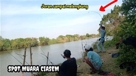 Spot Mancing Muara Ciasem YouTube