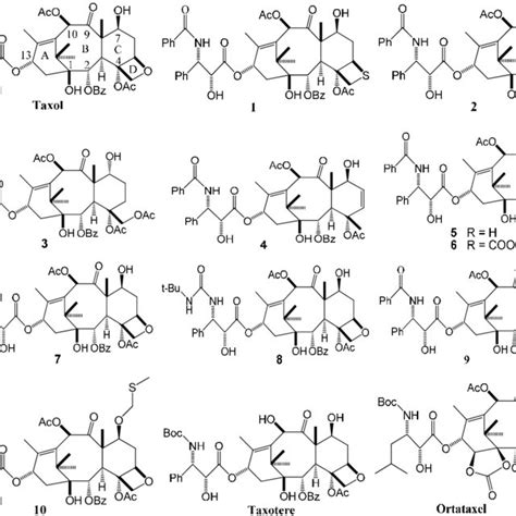 Chemical structures of taxol and its analogues. | Download Scientific ...