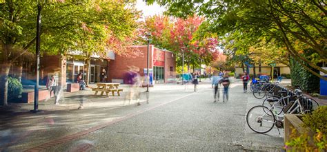 Accepted Students - International | Camosun College