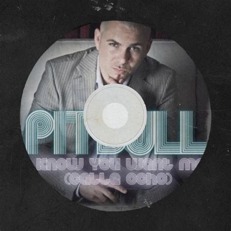 Stream Pitbull - I Know You Want Me (Sash Remix) by Sash | Listen ...