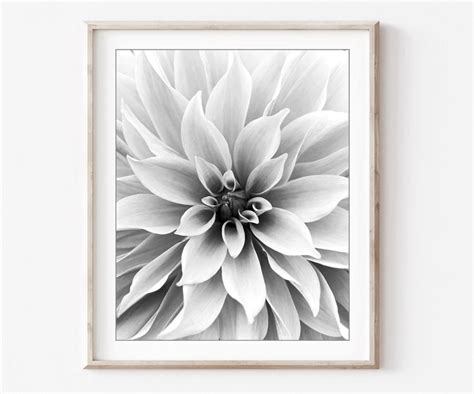 a black and white photo of a large flower