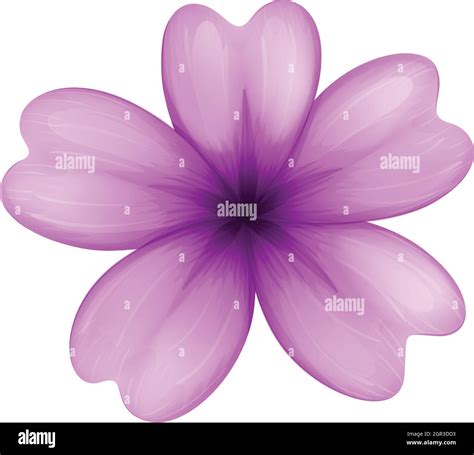 Lavendel Blumen Hintergrund Stock Vektorgrafiken Kaufen Alamy