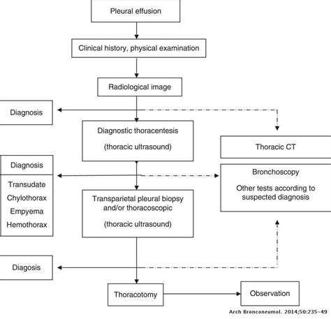 Recommendations Of Diagnosis And Treatment Of Pleural Effusion Update Archivos De