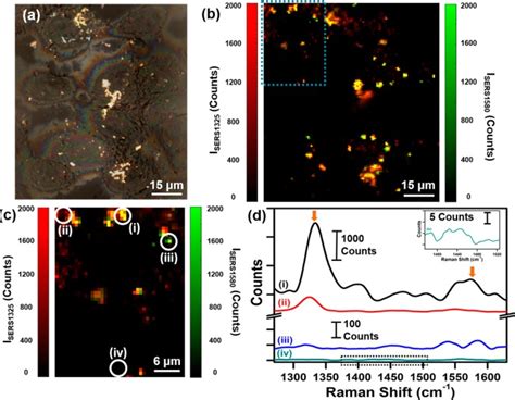 Theranostic Gold Nanoantennas For Simultaneous Multiplexed Raman