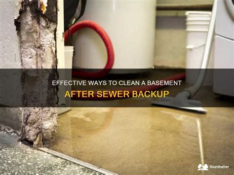 Effective Ways To Clean A Basement After Sewer Backup Shunshelter