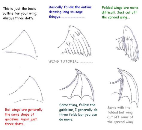 Folded Bat Wings Drawing