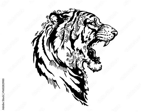 Detail Realistic Hand Drawing Angry Tiger Head Illustration Stock ...