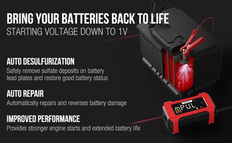 Amazon Nexpeak Nc Battery Charger V V Lifepo Lead