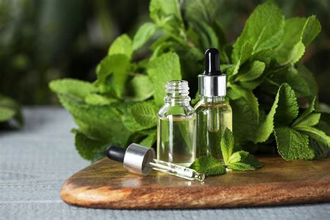 Aceite de menta qué usos y propiedades tiene