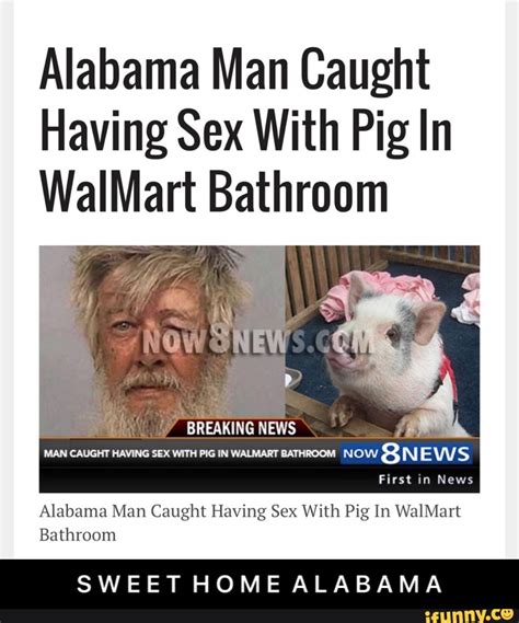 Alabama Man Caught Having Sex With Pig In Waimart Bathroom Alabama Man