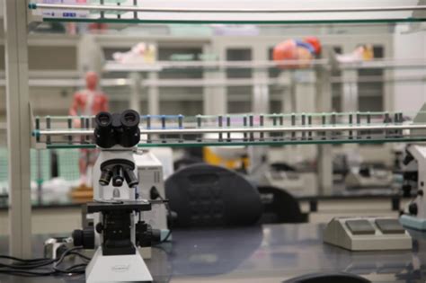 MSc in Medical Education