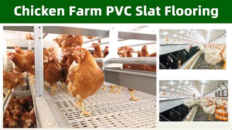 Poultry Plastic Slatted Flooring For Broiler Chicken Farming PVC