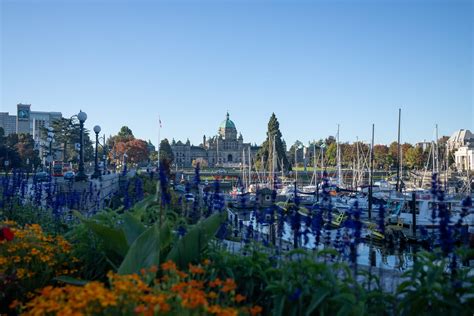 48 Popular And Unique Things To Do In Victoria Bc Love From Steph