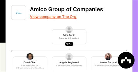 Amico Group of Companies - Org Chart, Teams, Culture & Jobs | The Org