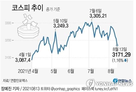 코로나 이후 부동산·증시에서 더 걷은 세금 33조 나무뉴스