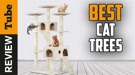 Cat Tree Best Cat Trees 2021 Buying Guide Youtube